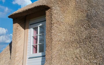 Trendeal thatch roof disadvantages