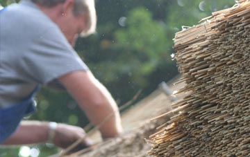 professional Trendeal thatchers